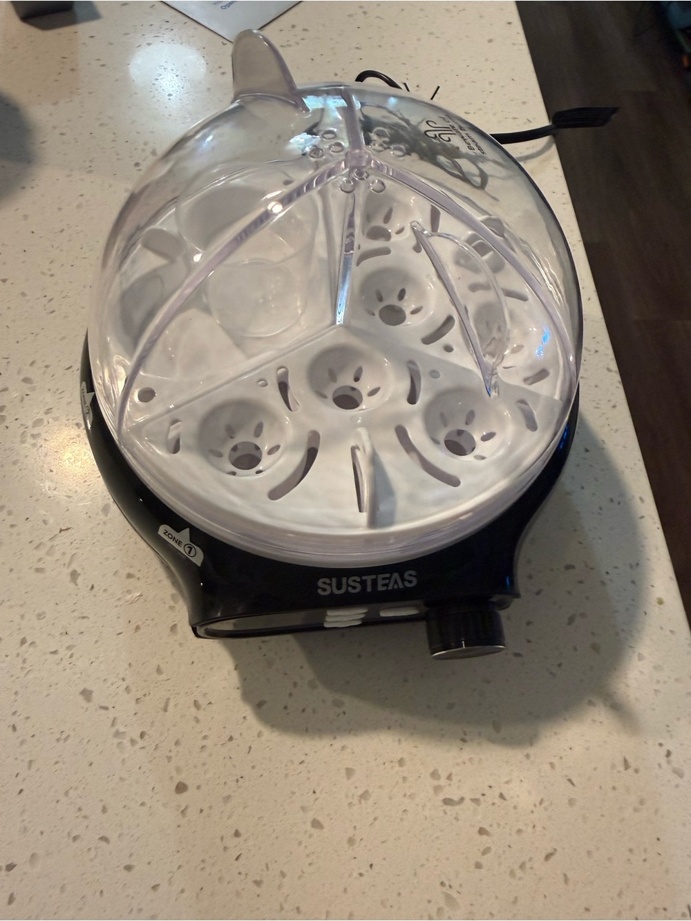 Susteas Black & Clear Electric Egg Cooker - 7 Egg Capacity